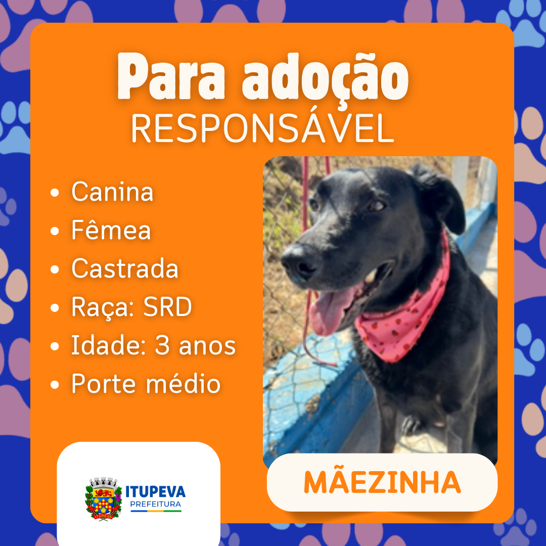 Para adoção (2)