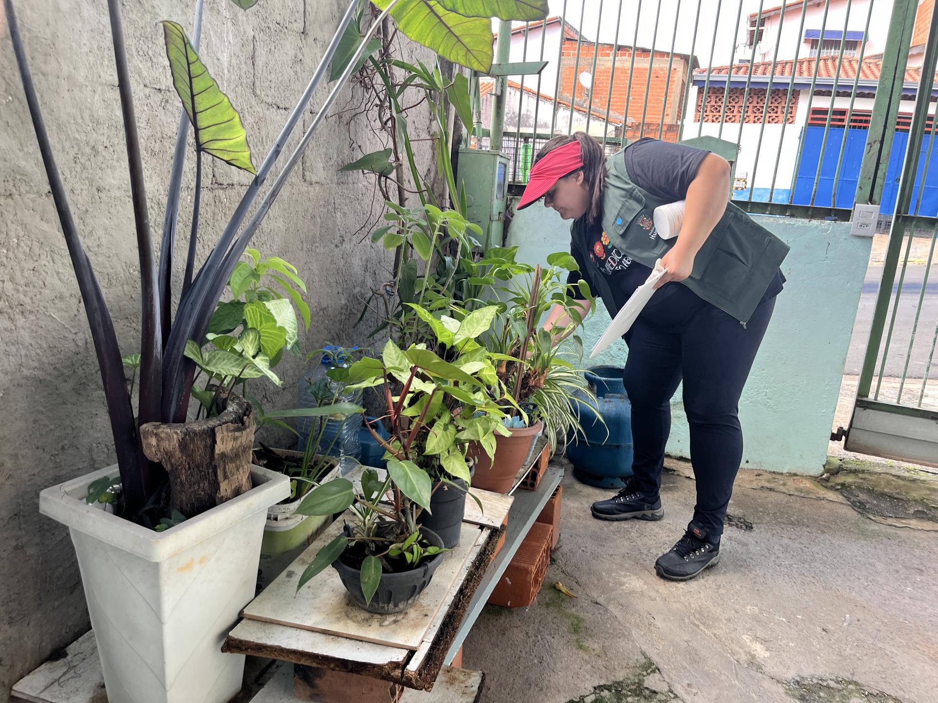 Ok Mutirão Dengue (3)