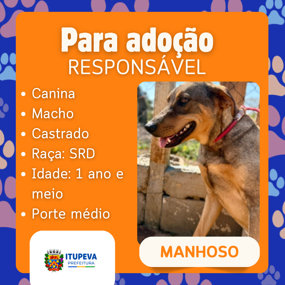 Para adoção