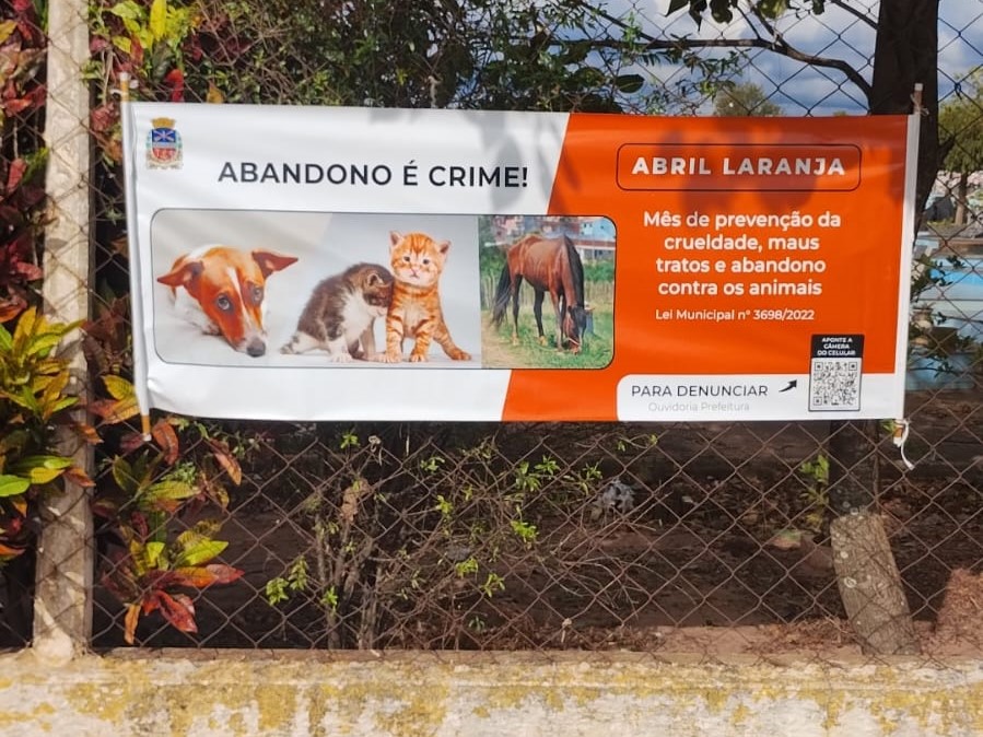 Release 98-2025 - maus tratos animais abril laranja