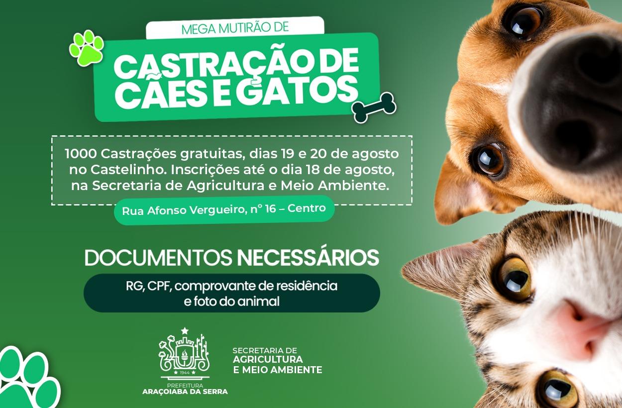 Mega Mutirão de Castração