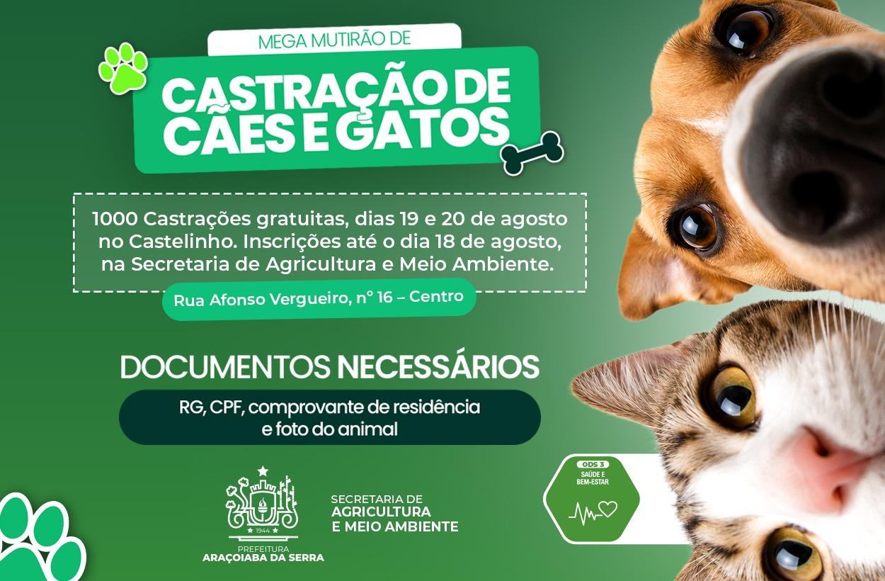 Mega Mutirão de Castração