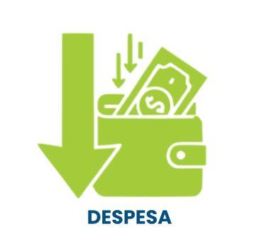 DESPESA