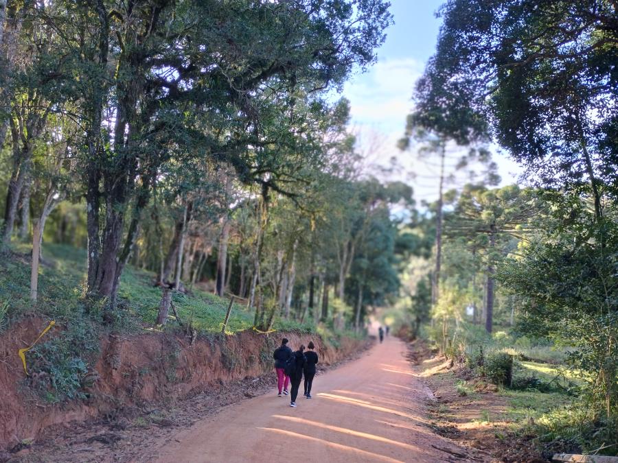 Caminhada na Natureza encanta participantes com trilhas, cachoeiras e inclusão