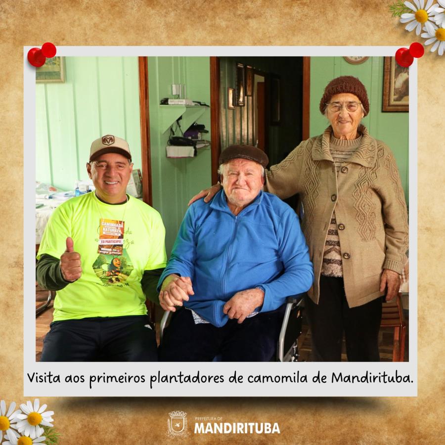 VISITA AOS PRIMEIROS PLANTADORES DE CAMOMILA DE MANDIRITUBA.