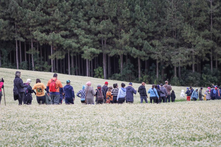 Circuito das Caminhadas Internacional na Natureza em Mandirituba é finalizado com recorde de público