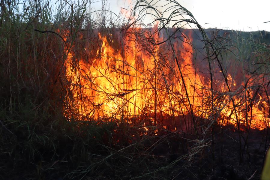 Prefeitura Alerta sobre cuidados que evitam fogo em mata