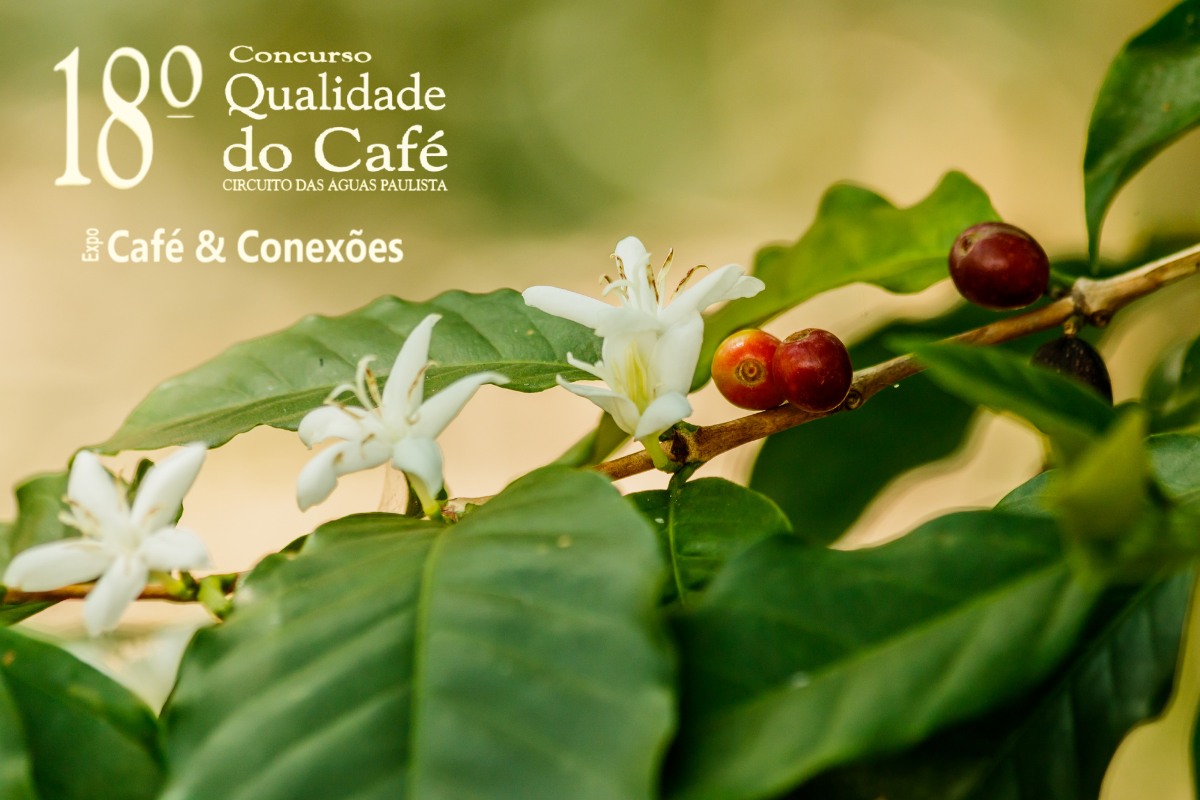 Serra Negra foi destaque no 18º Concurso de Qualidade do Café do Circuito das Águas Paulista