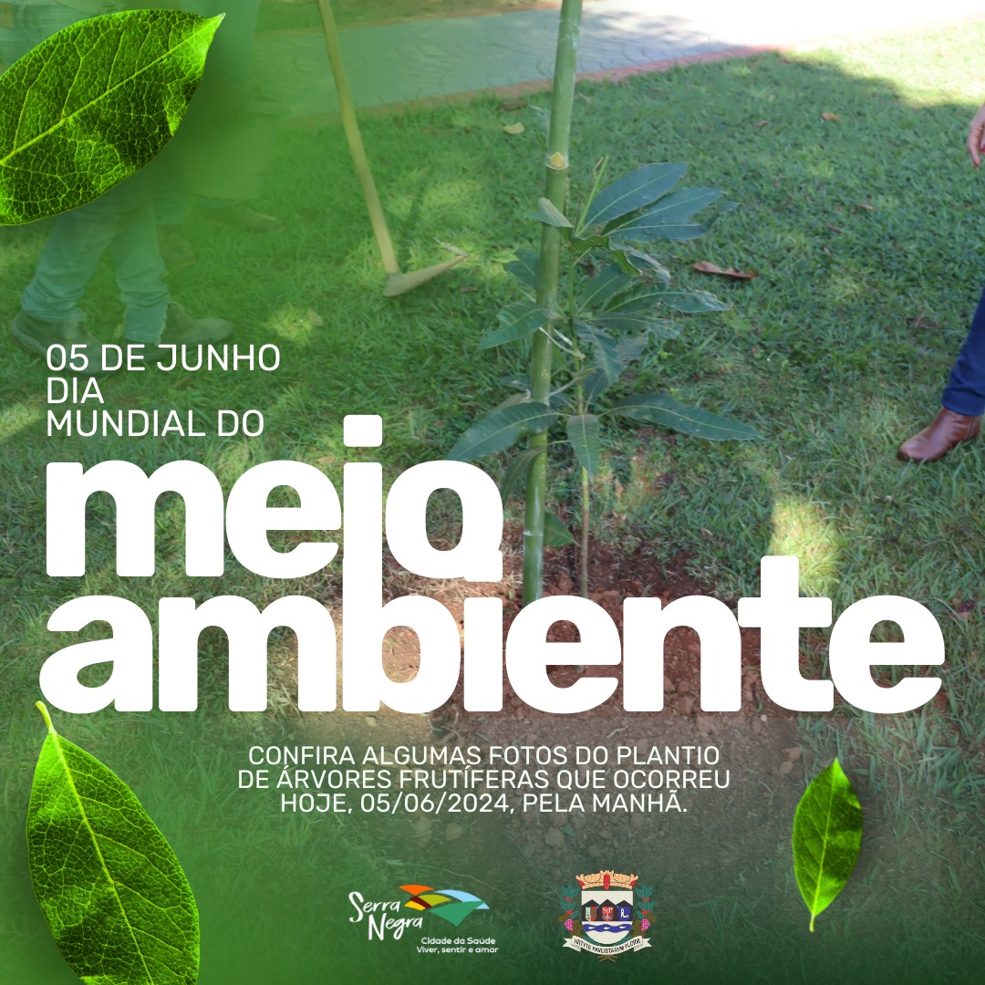 DIA MUNDIAL DO MEIO AMBIENTE FOI CELEBRADO COM PLANTIOS DE ÁRVORES