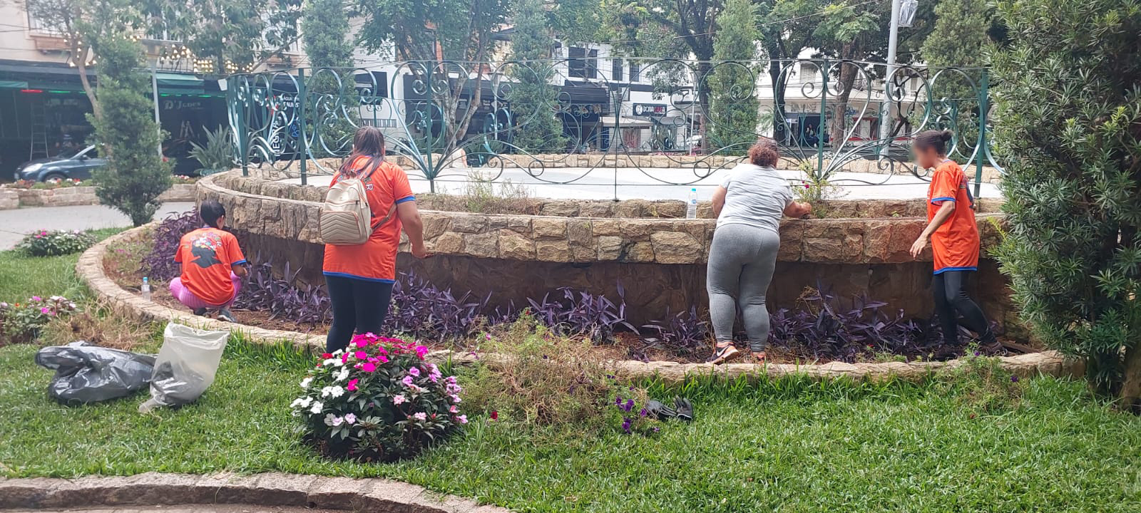 Projeto Florescer em ação nos jardins de Serra Negra