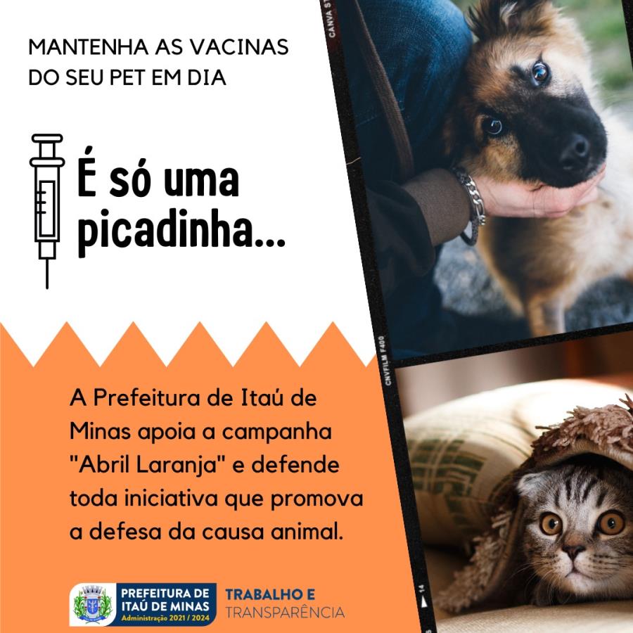 Vacinação Pets