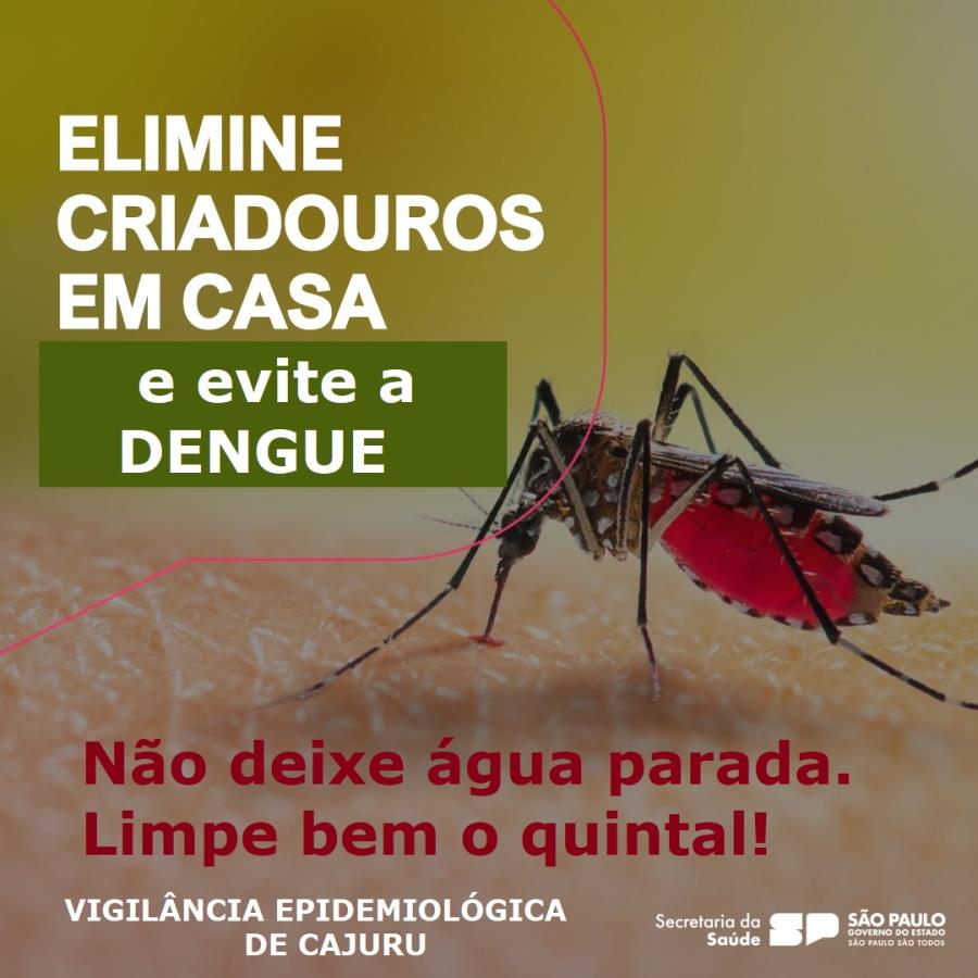 Ação contra a Dengue