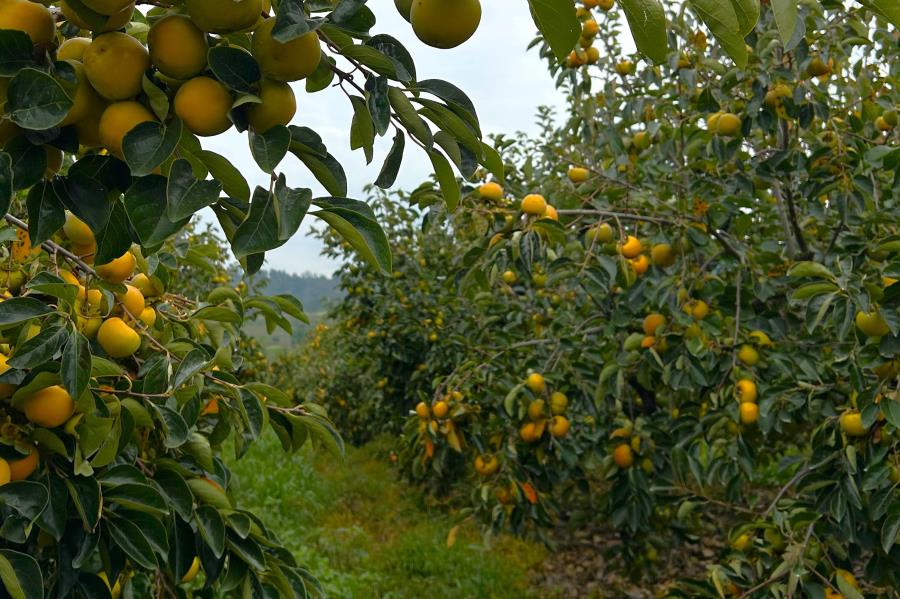 Plano Municipal de Saneamento Rural será apresentado em audiência pública dia 21/10