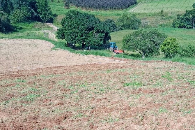 Produtor rural guarda coleção com quase 150 tratores antigos, Nosso Campo