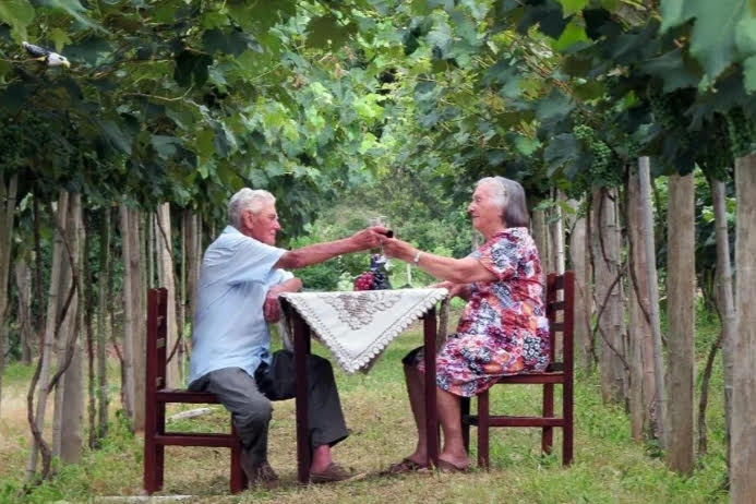Itatiba concorre a prêmios de Turismo Rural e de Negócios: votação popular está aberta