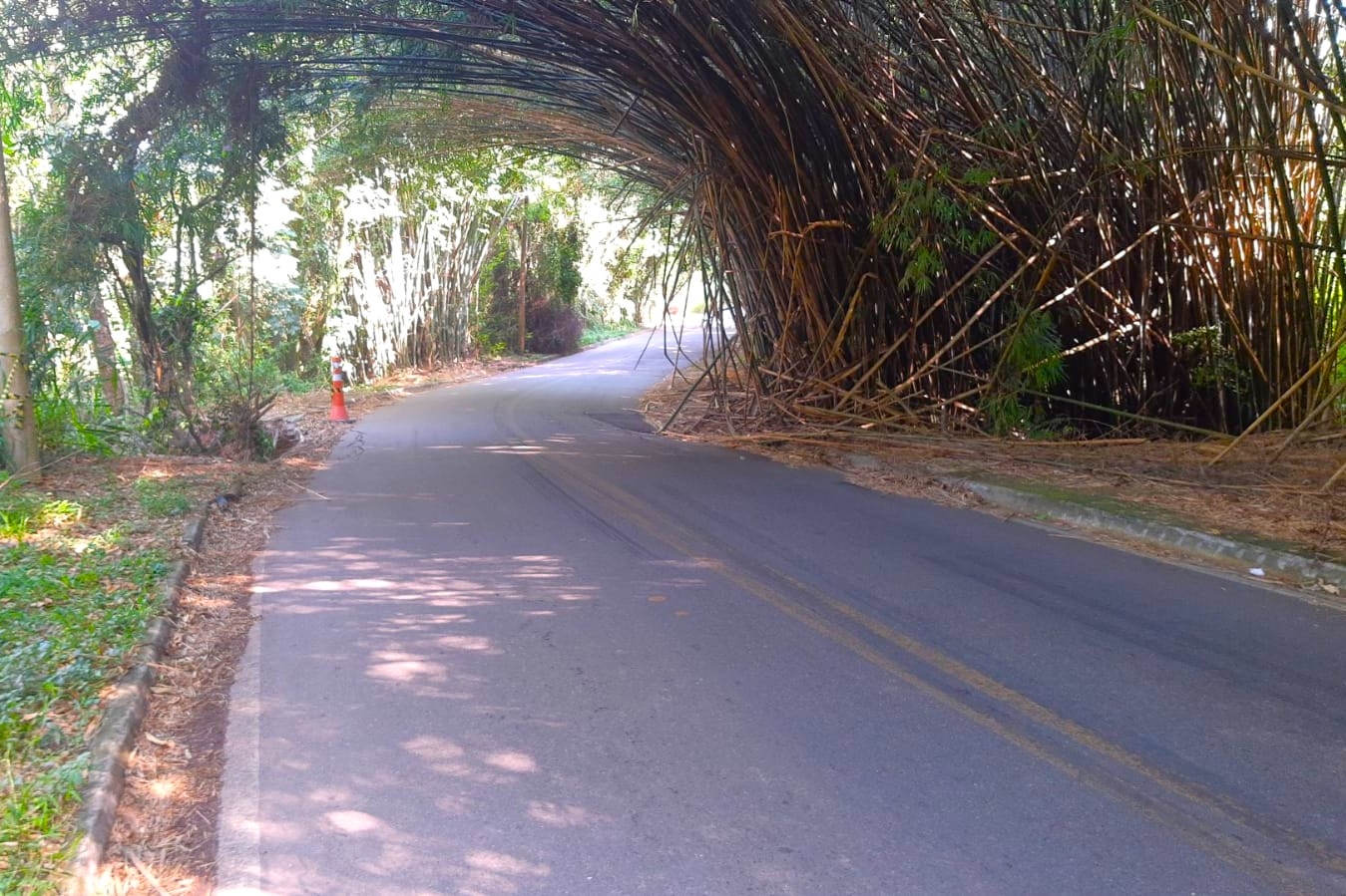 Av. Nossa Senhora das Graças será interditada para obras a partir deste domingo (30/03)