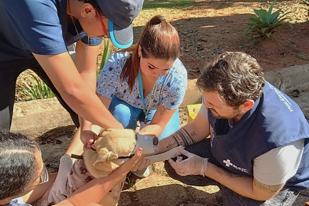Itatiba faz ação conjunta com municípios da região para identificar casos de leishmaniose canina