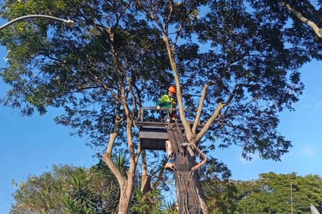 Intervenção: trecho da Av. N.Sra. das Graças terá sistema Pare e Siga na próxima segunda-feira (10/08)