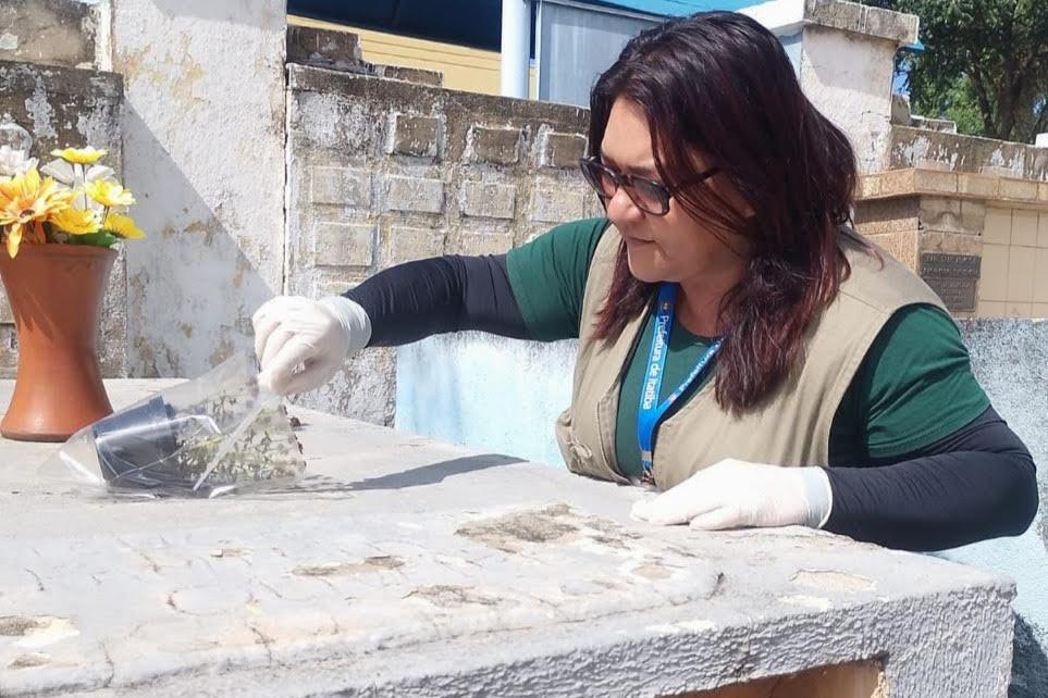 Itatiba inicia 2026 em busca de larvas no combate à dengue