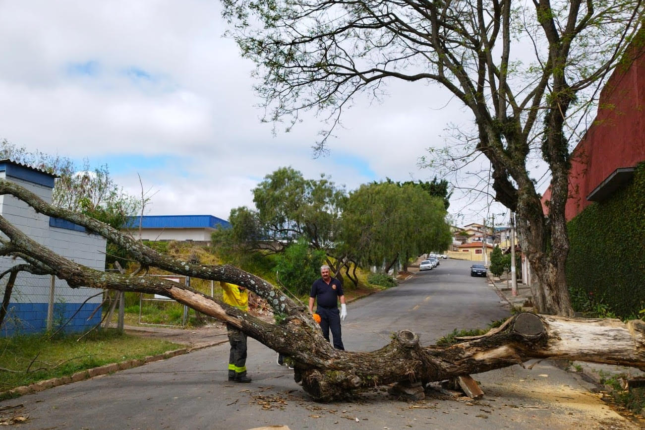Equipes municipais trabalham para limpar cidade após tempestade desta segunda (22/09)