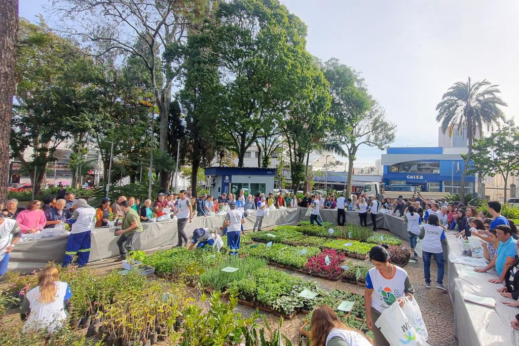 Semana do Meio Ambiente 2026: distribuição de 10 mil mudas será na quarta (03/06)