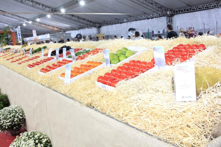 19ª Festa do Caqui oferecerá variedade com produtores de Itatiba