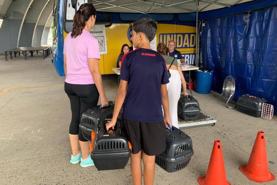 Cobema de Itatiba abre inscrições para novos mutirões de castração