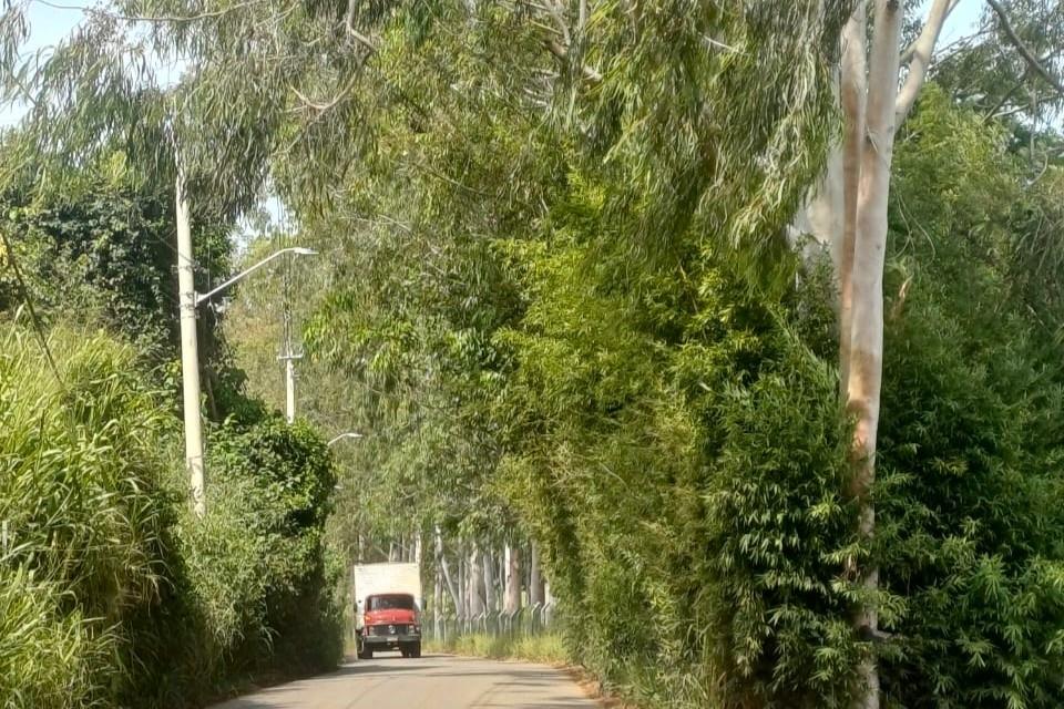 Fechada para manutenção: avenida N.S. Graças recebe equipes de zeladoria nesta sexta (29/05)