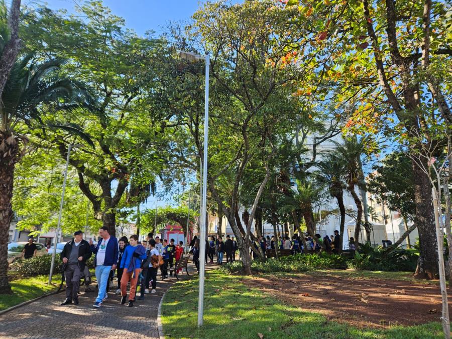 Doação de 8.000 mudas na Praça da Bandeira será nesta quinta (05) pelo Dia do Meio Ambiente