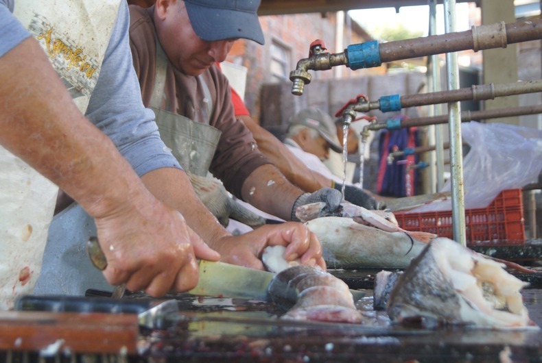 Feira do Peixe em Santiago: tradição e qualidade em plena Semana Santa