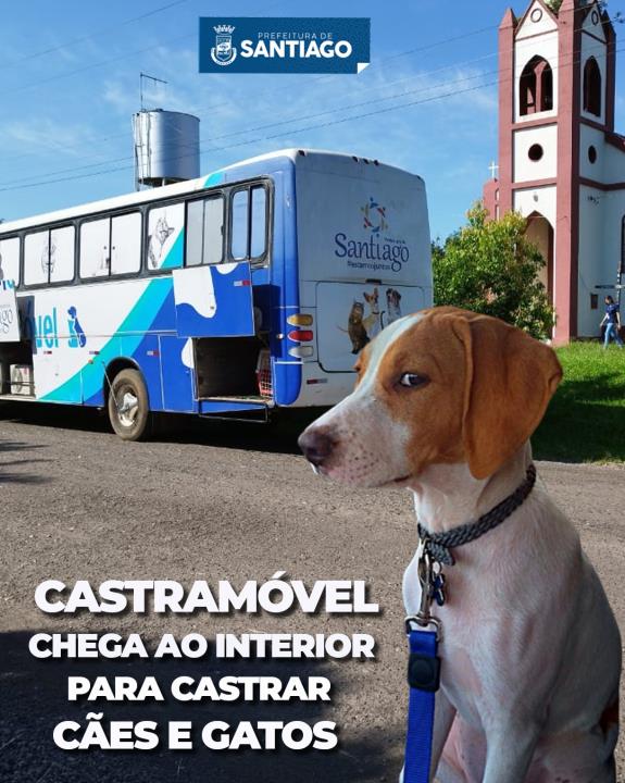 Castramóvel chega ao interior para castrar cães e gatos gratuitamente