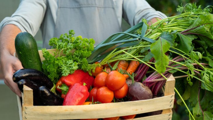 Santiago promoverá 1º Seminário de Segurança Alimentar e Nutricional