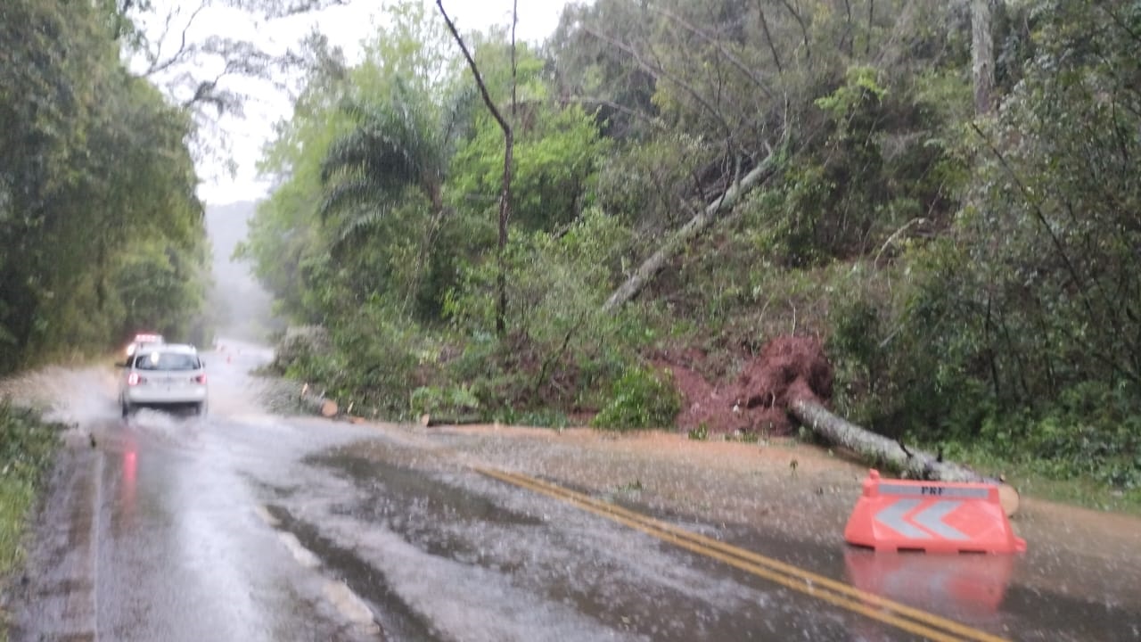 Atenção, motoristas| Chuva e vento causam queda de árvores na BR 287