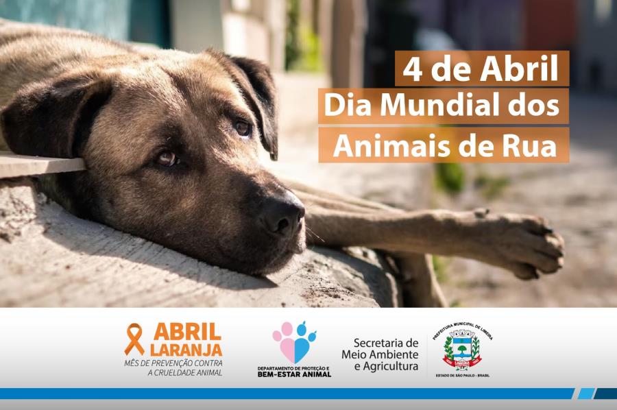 Abril Laranja promove conscientização sobre maus-tratos contra animais