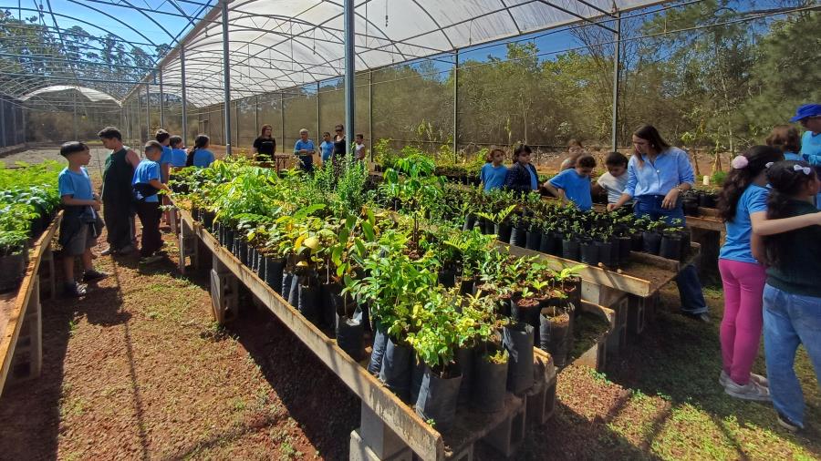 Ações do Mês da Árvore chegam a mais de 14 mil pessoas