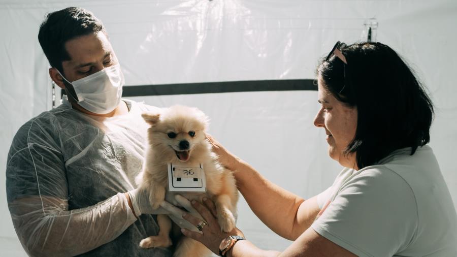 Inscrições para Simpósio de Proteção Animal se encerram neste sábado (21)