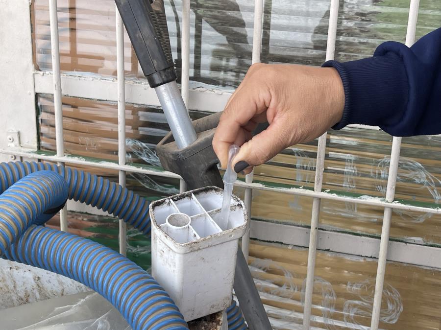 Mutirão contra a dengue será realizado neste sábado (4) na região do Boa Vista