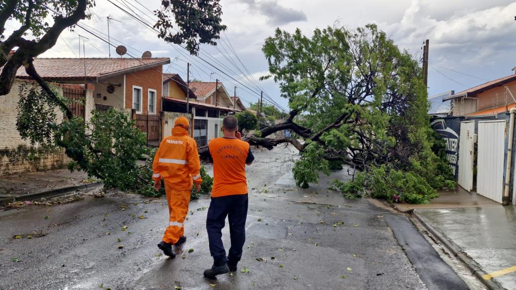 Ação integrada da Prefeitura minimiza efeitos das chuvas em Limeira