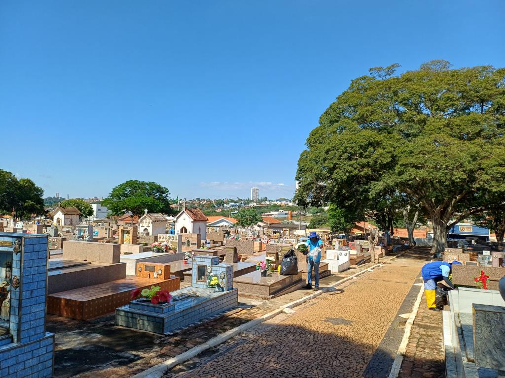 Equipes recolhem embalagens de vasos que podem acumular água e servir de criadouro para o mosquito