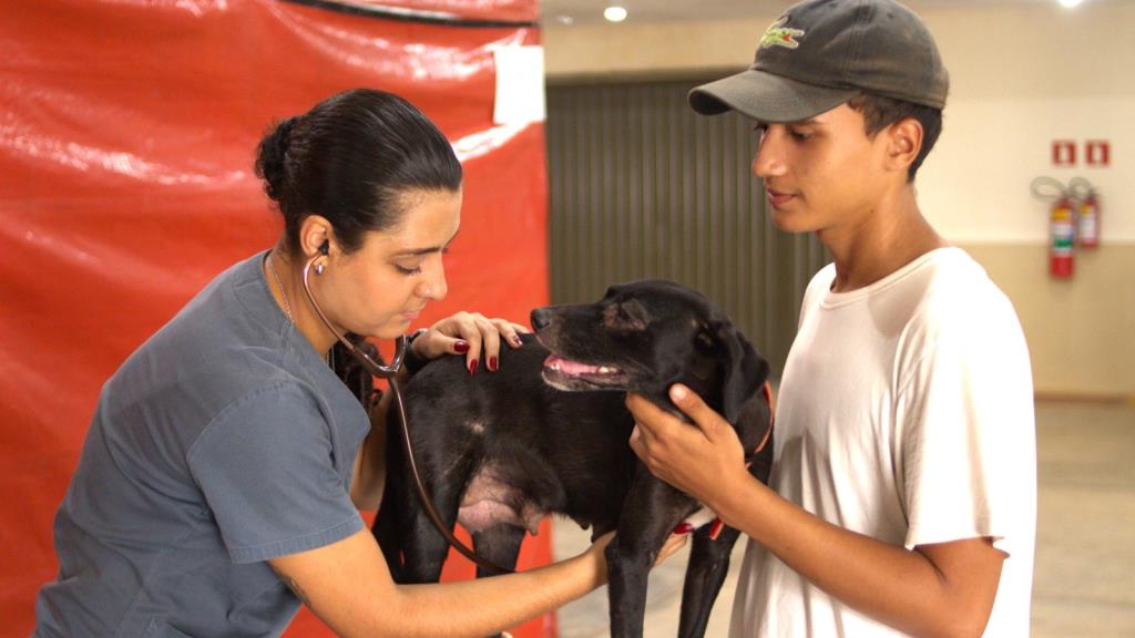 Parque Cidade recebe mutirão de castração gratuita nos dias 21 e 22; veja como agendar