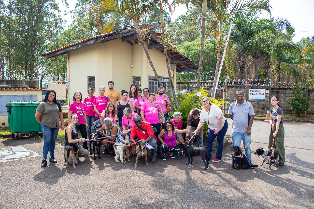 Parceria com a Alicc proporciona passeio a animais do Lar Temporário