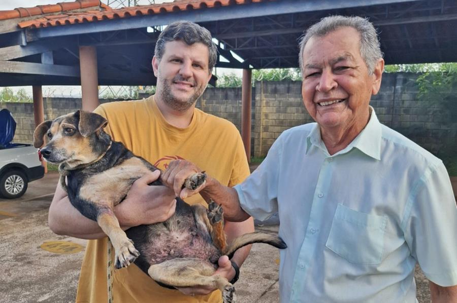 História de cachorra encontrada em córrego termina com final feliz