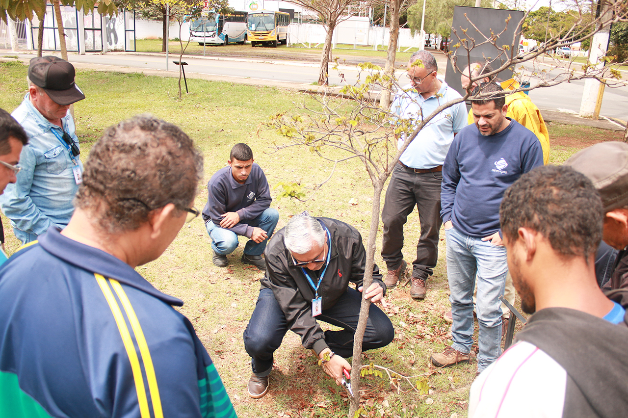 Secretaria de Meio Ambiente altera data do “Curso de Poda”
