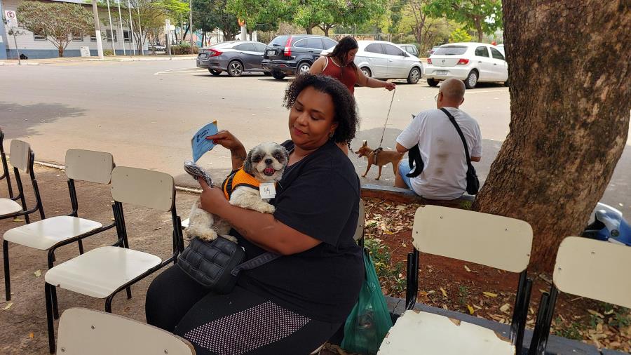 Programação do Mês dos Animais, em Limeira, tem mutirão de castração gratuita