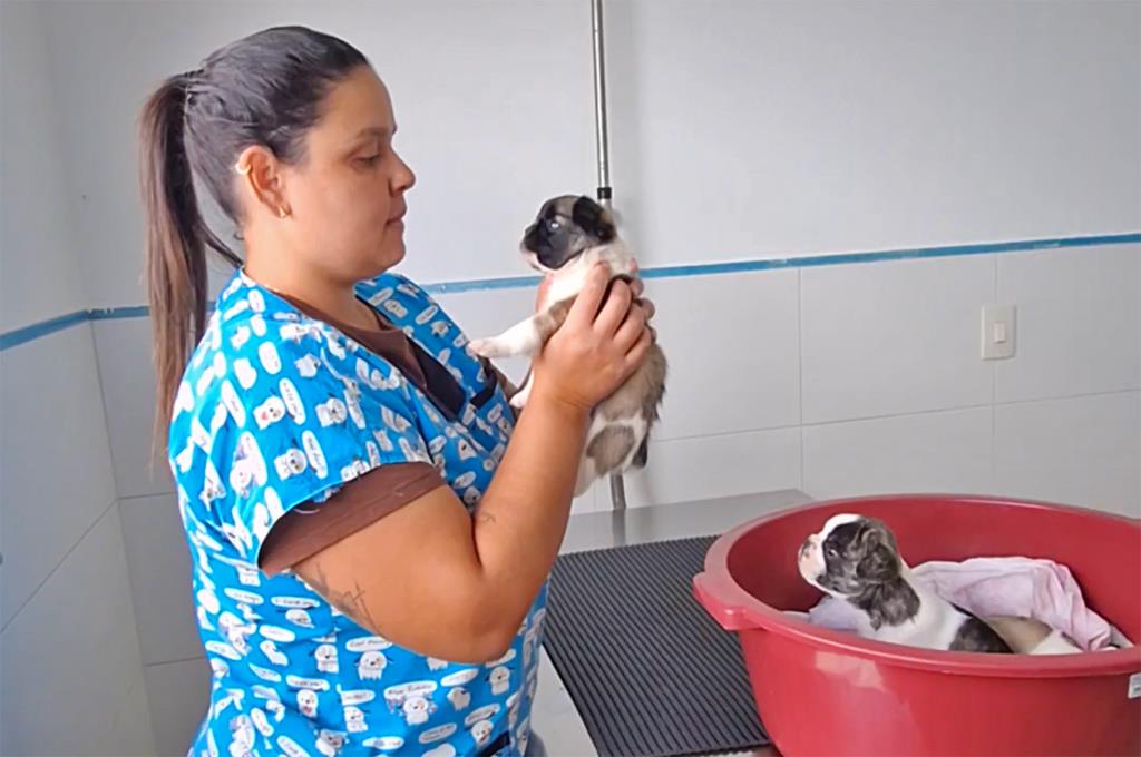 Espaço Amigo Pet: clínica veterinária registra mais de 330 consultas no primeiro mês de funcionamento