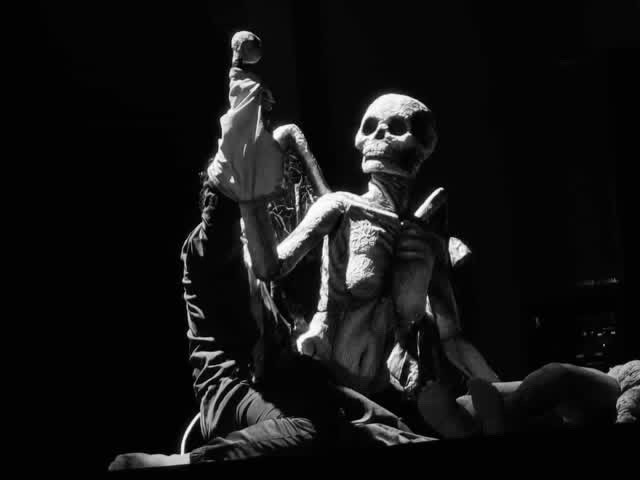 Mostra “Bonecos sem Fronteiras” segue até amanhã (9)