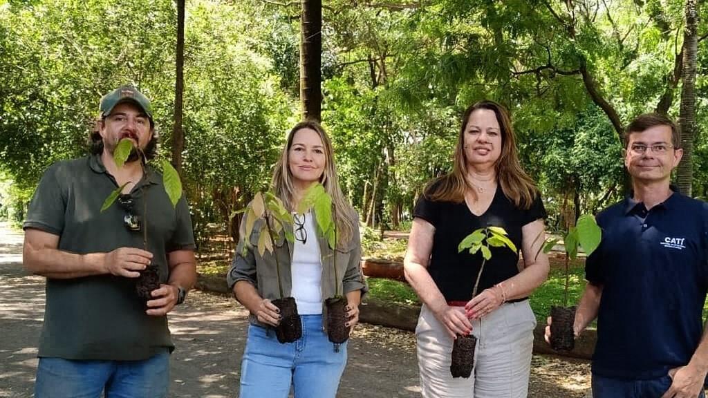 Programa Municipal do Cacau tem início com aquisição de mudas