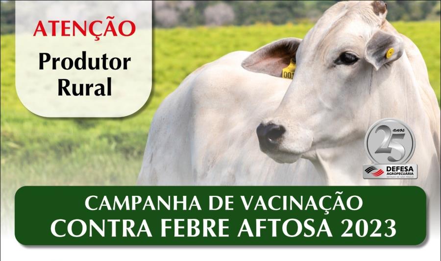 Produtores têm até 31 de maio para vacinar animais contra a febre aftosa e brucelose  