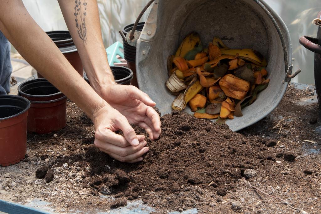 Inscrições abertas para curso gratuito de compostagem em Limeira