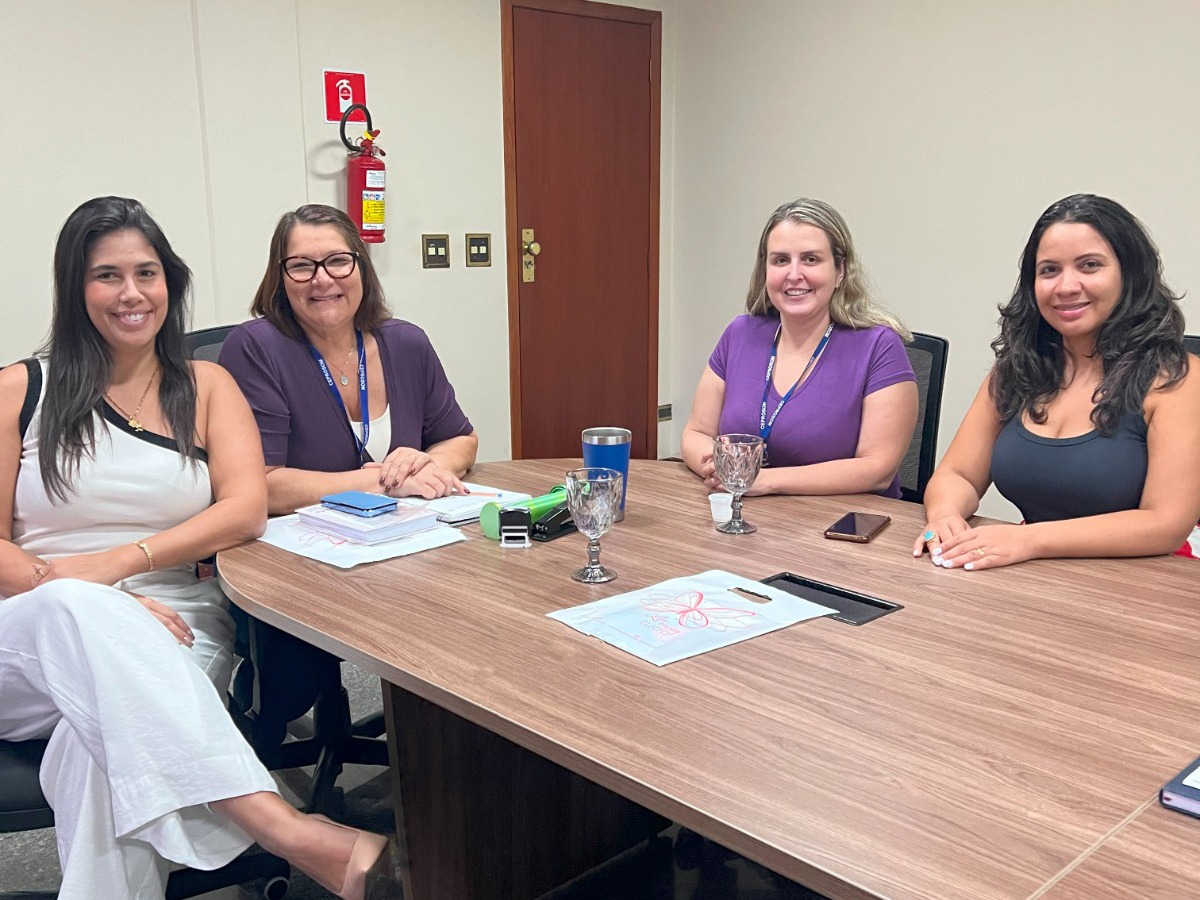 Reunião discute prevenção à violência contra a mulher